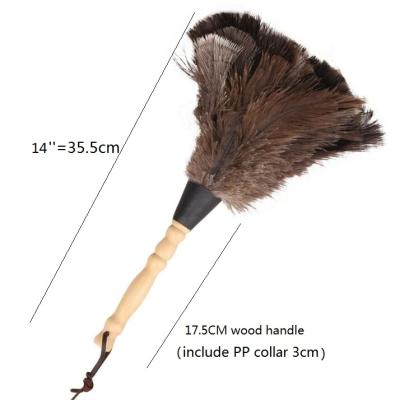 China 14 Years Factory Sustainable Ostrich Feather Duster Duster for sale