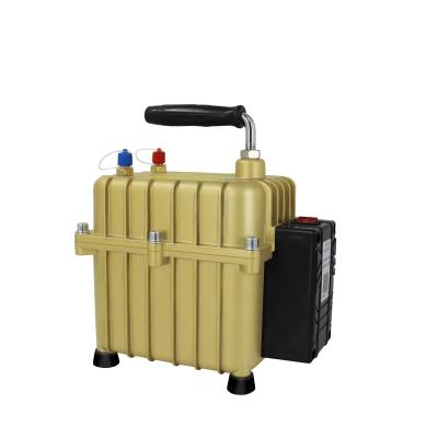 China Automotive Industry Double Operated Compressor Vacuum Micro Vacuum Pump for sale