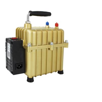 China Double Functional Automobile Industry Compressor Vacuum Micro Vacuum Pump 36L for sale