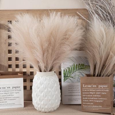 China 2021 PA0001 Real Pampas Grass Amazon CLASSIC HOT Sale Yunnan Tall Beige Fluffy Pampas Grass For Home Decoration Preserved Flower for sale