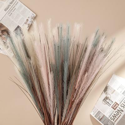 China PA0003 Artificial flower grass feather grass peacock dry pampas pampas grass from china supplier central statistics institute of flower PA0003 for wedding and home decoration for sale