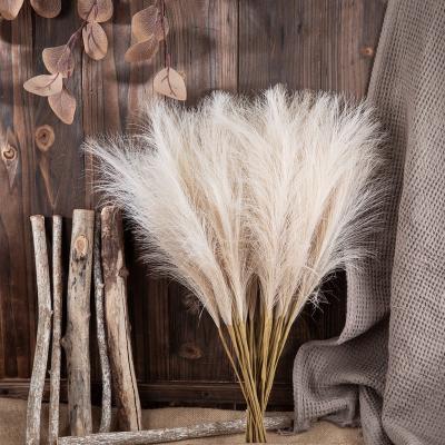 China Popular Beilina PA0001 5pcs/bundle High Quality Dried Natural Brown Palm Pampas Grass Leaves for sale