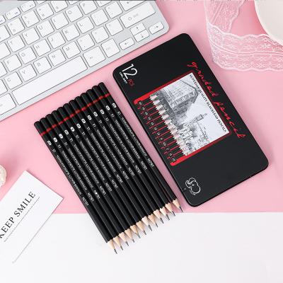 China office & Professional School Pencil 2H-8B 12 PCS/Set Iron Box Pencil Sketch Drawing Pencils Set For Beginner Drawing Sketching for sale