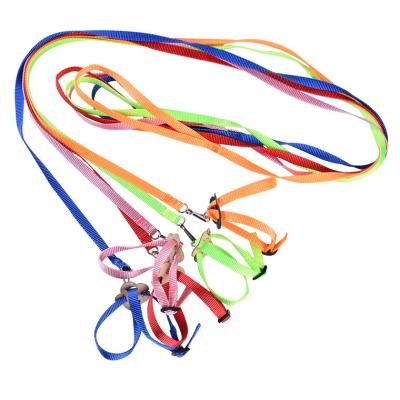 China Viable Durable Adjustable Training Rope Large Parrot Bird Parrot Pull Rope Leash for sale