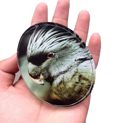 China Europe Factory Crafts Gift Oval Color Printing Crystal Glass Paperweight for sale