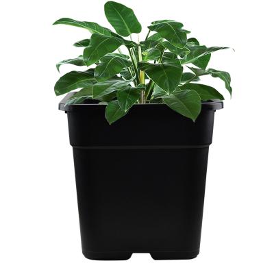 China Customizable Factory Wholesale Modern China Supplier 7 Gallon Square Nursery Pots for sale