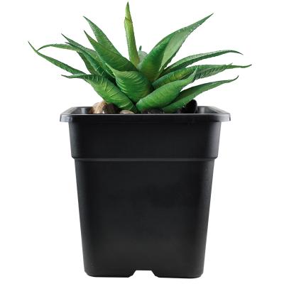 China Modern Hot Selling Durable 10 Gallon 4cm Pot Black Nursery Plastic Flower Pots for sale