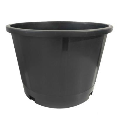 China Modern Promotion Round Durable 4 Inch Seedling Pot 6 Gallon Black Nursery Pots for sale