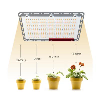 China Seed Planting Ronbo Sunrise Best Price 110W 220W 440W Full Spectrum Horticulture Plants Samsung Led Panel Grow Lights for sale