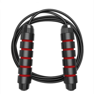 China High Quality High Quality Weighted Wheel AB Jump Rope Speed ​​Skipping Rope Steel Wire Jump Ropes Roller Wheel for sale