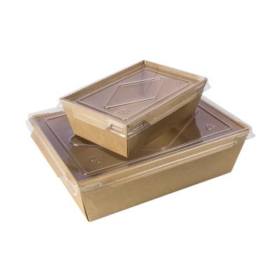 China Rectangular Disposable PET Lid Food Paper Container Salad Wrapping Paper Box With 500ml 600ml for sale