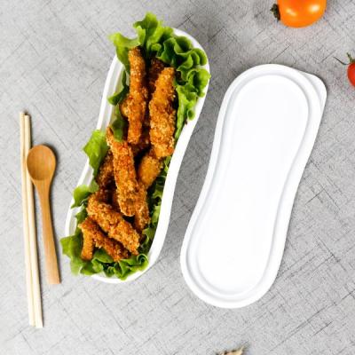 China Viable New Style Small Dinner Dish Food Packaging Plastic Boxes With Lids for sale