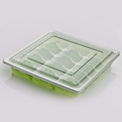 China China Supplier Household Use Disposable Packaging Container Plastic Dumpling Storage Box for sale