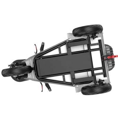 China 20ah Batteries Cabin Buddy Unisex Electric Overboard Scooter With CE 65km Removable Battery 25km/h for sale