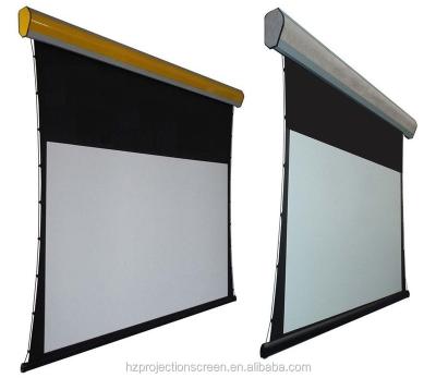 China Promax 3D 4K HDTV Projection Screen Electric Motor 180