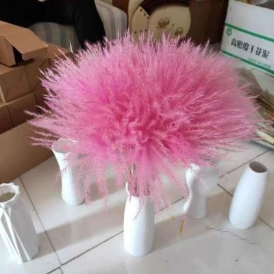 China Hot Sale Natural Dry Modern Amazon Pampas Grass Wholesale Decorative Flower Bouquet For Decors Opens Wreath Gift For Home Decor for sale