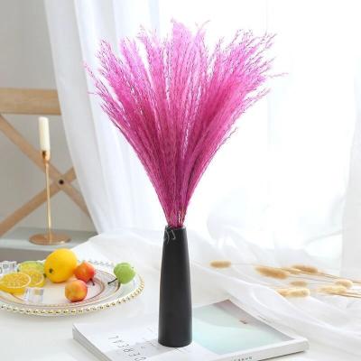 China Large Modern Natural Colorful Fluffy Home Decor Flower Colorful Reeds Dried Pampas Grass Pampas Grass For Home Decoration for sale