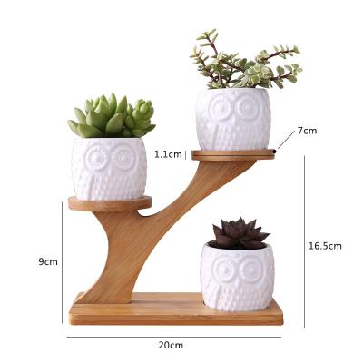 China Micro Easy Movable Plant Stand Shelf Green Plant Ceramic Flower Pot With Stand for sale