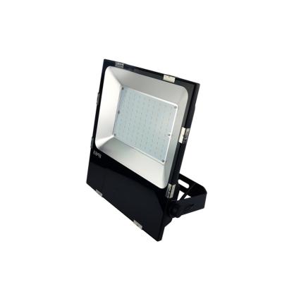 China Sports Stadiums PIR SENSOR 50W Led Flood Light Outdoor Lighting 200 Watt Asymmetrical Led Flood Light for sale