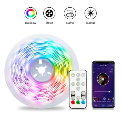 China Easy Installation 5050 12V Music Changing Color Dream Holiday Lights Flexible Outdoor Remote RGB Led Strips Bluetooth wifi Light Controller for sale