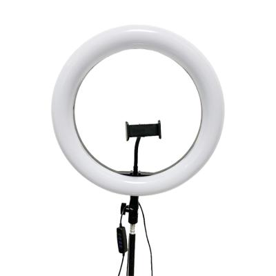 China 12 Inch Indoor Video Circular Shine Photography Film Shooting Massa With Tripod Stand Phone Holder For Make Up Ring Light 38*39*5.5 for sale