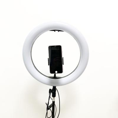 China Customizable high quality from MASSA with the Luzes de complemento 26cm 10 inch Selfie Ring Light M-10 tripod for sale