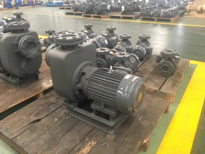 China Centrifugal Self - Priming Sewage Pump , Cast Iron Wastewater Treatment Pump for sale