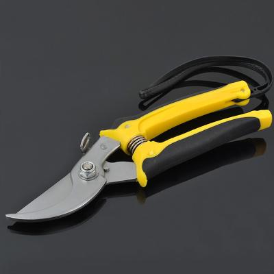 China Easy Sharpness To Carry Small Pruning Shears Fruit Branch Shear Garden Pruning Scissors for sale