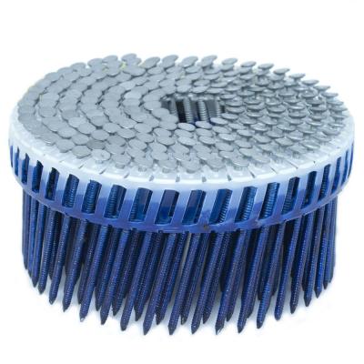 China Hot Dipped Ring Shank Siding Nails , Diamond Point Plastic Collated Coil Nails for sale