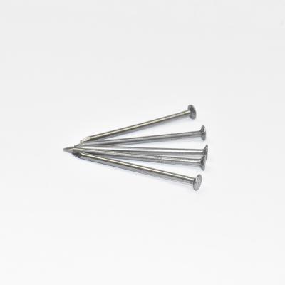 China 2 Inch Steel Galvanized Common Nails Smooth Shank 19mm- 100mm Length for sale