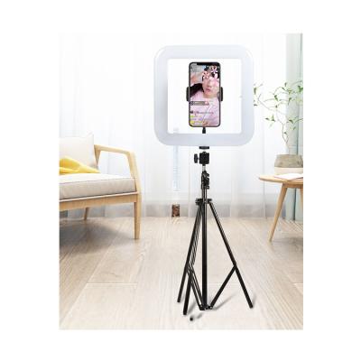 China Mobile Phone Selfie Live Fill Light Square Curved Ring Led For Photography D21 for sale