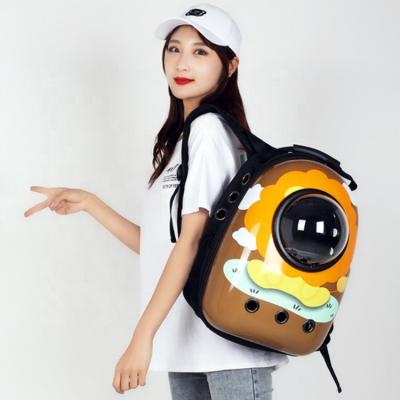 China Customized Breathable Luxury Stocked Cat Shoulder Bag Backpack Capsule Travel Pet Carrier Bag for sale