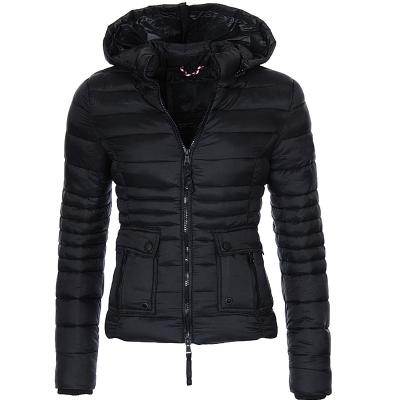 China Korean version of Anti-wrinkle winter running clothes cotton clothes hooded slim down jacket female jacket cotton thickened jacket female for sale