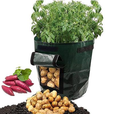 China Vlovelife 1Pcs Eco-friendly Potato Planter Bags 3 5 7 10 Gallon Grow Bags Aeration Tomato Planting Pots Container With Fin And Handles for sale