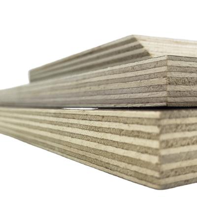 China 12mm modern film faced plywood poplar core veneer and fireproof plywood for sale