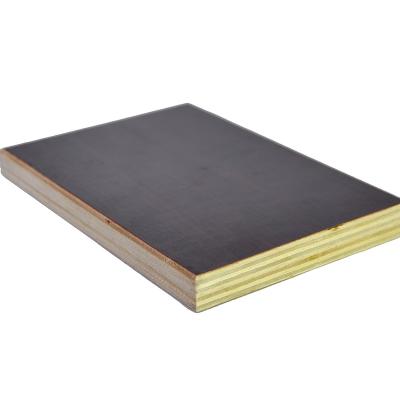 China 4-25mm modern eucalyptus hardwood core black film faced plywood for construction for sale