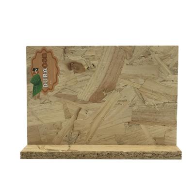 China Modern Oriented Chipboard OSB 3 Strand 1220x2440mm OSB Board For Application for sale