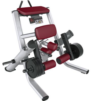 China AMS602 Commercial Use Kneeling Leg Curl Machine Fitness Gym Equipment Professional Flat Loaded Machine for sale