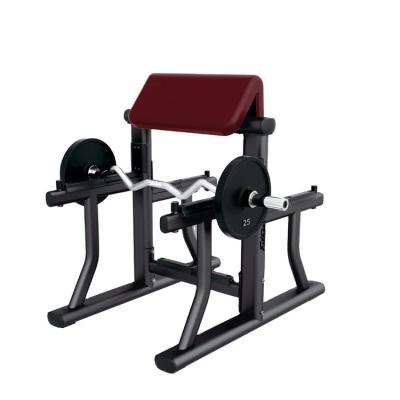 China Top Sale Commercial Use AMS-635 Arm Curl Bench Preacher Curl Gym Bench For Biceps Training for sale