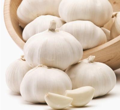 China Fresh Bulk Chinese Garlic For Sale for sale