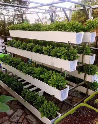 China PVC Agriculture Farm Hydroponics Strawberry Gutter NFT Greenhouses Gutter for sale