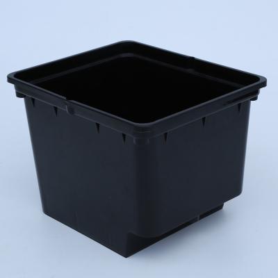 China CLASSIC Black PP Anti_UV Food Grade 11L Multi_span Greenhouse Grow Box Hydroponic Dutch Bucket System Bato Bucket for sale