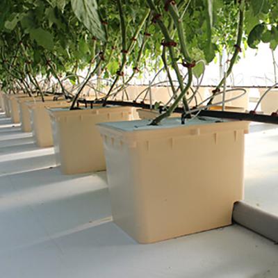 China Self Watering PP Hydroponics Growing Dutch Buckets System For Agriculture Greenhouse for sale