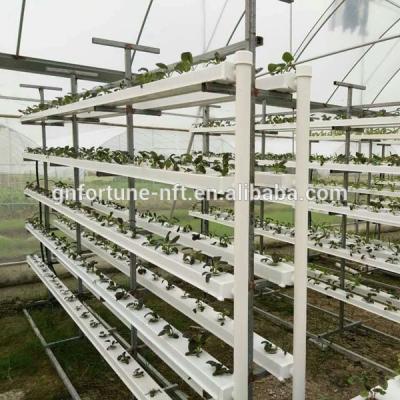 China Agriculture Planting Mini Hydroponic Planting Greenhouse For Growing Led Lights for sale