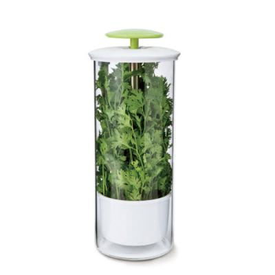 China Best Viable Quality Glass Herb Keeper and Herb Storage Container Savor Preserver for Cilantro, Mint, Parsley, Asparagus for sale