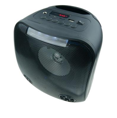 China 5.25 Inch Speaker Power Professional Sound System Portable BT Speaker with Speaker Party Flashing Light for sale