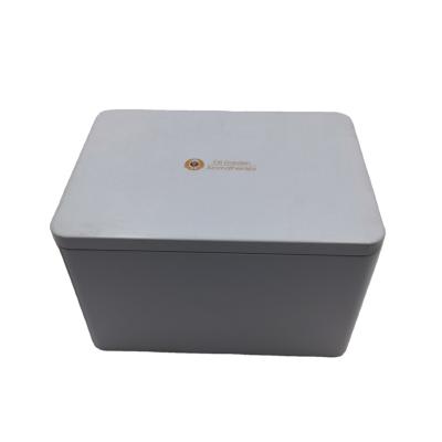 China Gift & Craft Fashionable Design Hinged Rectangular Tin Cans Cosmetics Gift Packaging Candy Coffee Packaging Boxes And Storage Boxes for sale