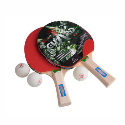 China Factory supply plywood and rubber and ABS plastic ping pong racket portable table tennis set with 2 bats and 3 balls for sale