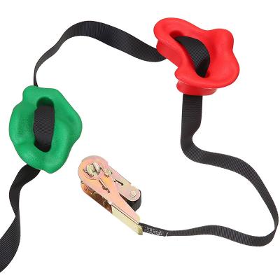 China Plastic Tree Climbing Holds 12+6 for Big Kids Climbing Holds with 6 Ratchet Strap Climbing Lengths and Optional Color for sale