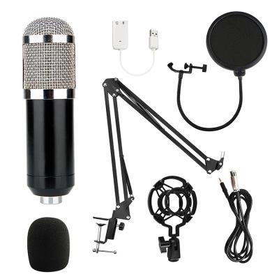 China Professional Cheap Handheld Condenser Cable Microphone SKEREI Microphone Manufacturer Supplier China for sale